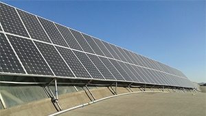 Tanfon 50kw 3 phase solar system factory use in Egypt