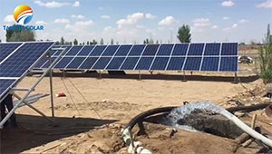 Kenya customer purchase Tanfon solar panel water pump system