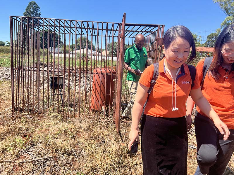 On-site investigation of Zimbabwe school solar energy project