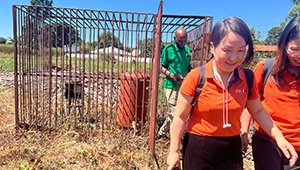 On-site investigation of Zimbabwe school solar energy project