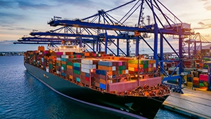 Beware of Cheap Sea Freight Traps